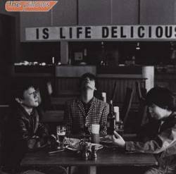 Thank You, My Twilight